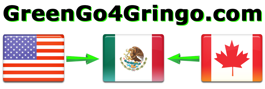 GreenGo4Gringo Logo